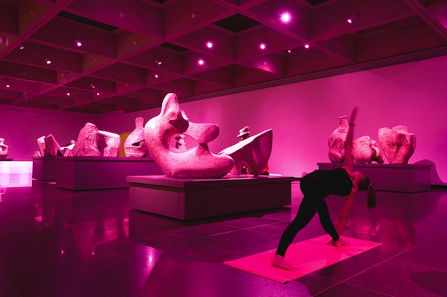 'Pleasure & Charity' at Toronto's AGO. Installation view courtesy of artist. 
