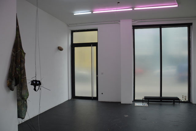 Antoine Renard, Jurassic Haze (2015). Exhibition view. Courtesy Center, Berlin.