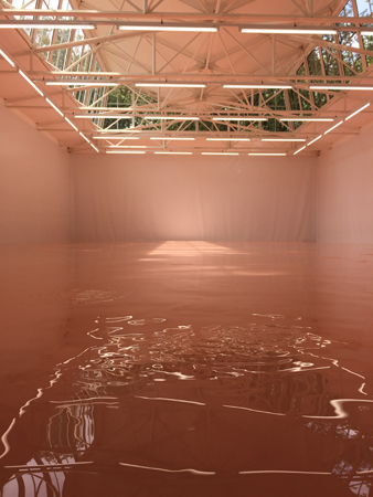 Pamela Rosenkranz, Our Product (2015) @ Venice Biennale Swiss Pavilion. Exhibition view. Photo by Megan Monte.