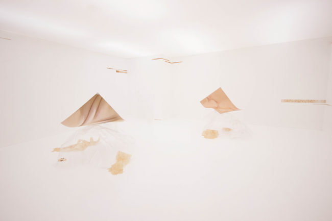 Anna Slama, techskin (2015), installation shot. Courtesy the artist and Konstanet.